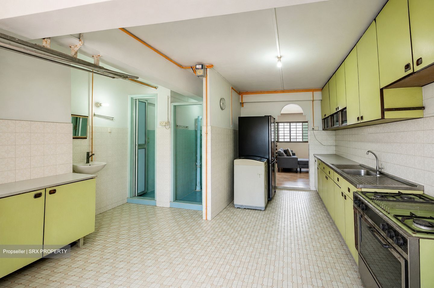 Holland Avenue (Queenstown),  #575951201